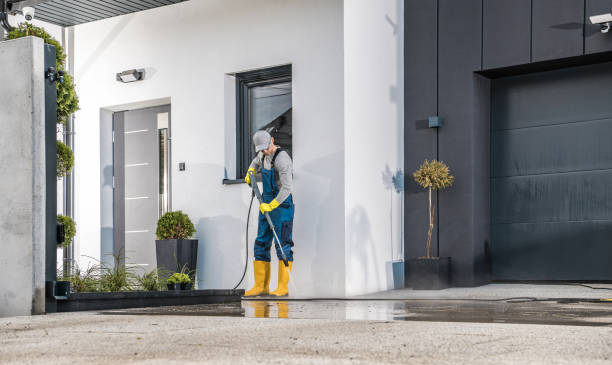 Professional Pressure washing in Thonotosassa, FL